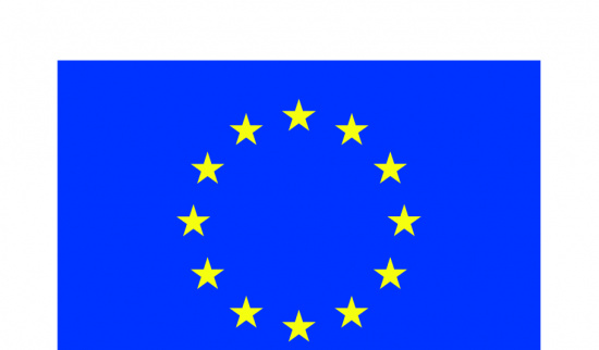 Logo Kofinanziert von der EU POS Foto: EU