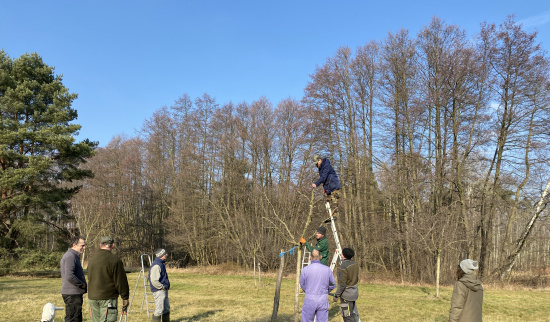 Praktische Tipps zur Baumpflege. Foto: Annegret Miersch