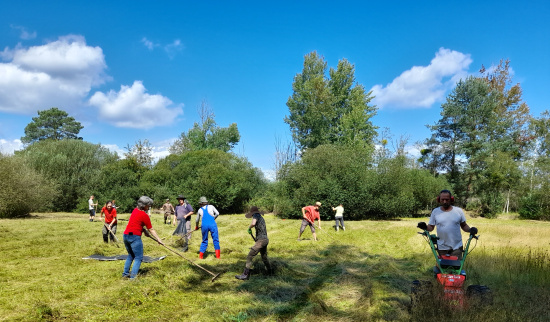 Orchideenwiese Zeissholz Foto: Herbert Schnabel