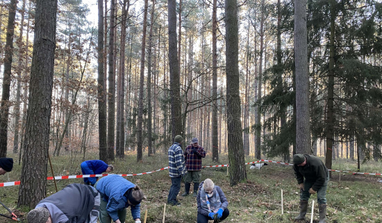 Pflegeeinsatz im Stadtwald Wittichenau Foto: Nicola Glaser