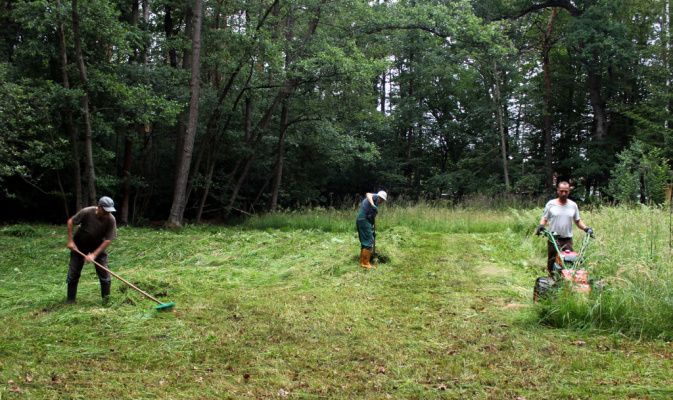 Wiesenmahd am Schwarzen Graben Knappenrode – Foto: Herbert Schnabel