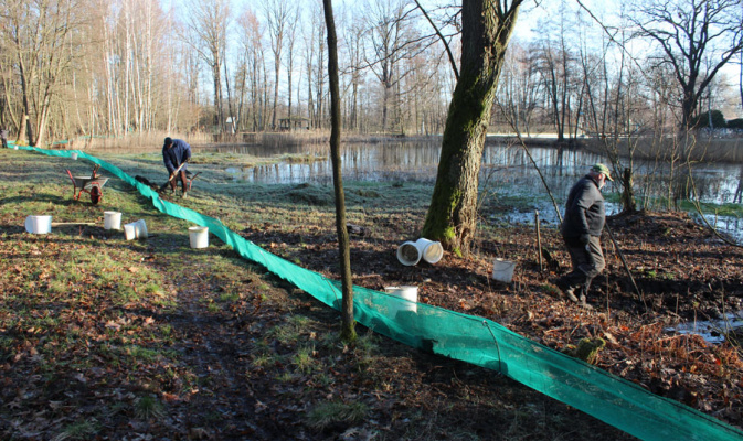 Aufbau des Amphibienzauns am Waldbadteich Wittichenau im Jahr 2020 – Foto: