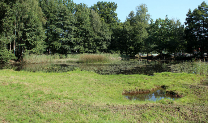 Waldbadteich nach der Pflege 2020 – Foto: Herbert Schnabel