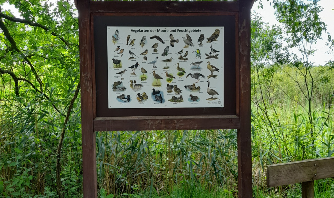 Schautafel am NABU Beobachtungsturm Dubringer Moor – Foto: Herbert Schnabel